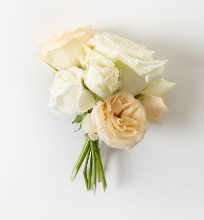 Knapphullsblomst i fersken og hvitt Knapphullsblomst i fersken og hvitt